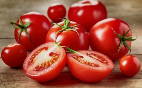 تصویر 3 از خرید و فروش گوجه فرنگی قرمز  با شرایط فوق العاده