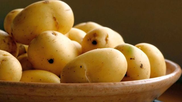 تصویر 4 از خرید سیب زمینی جلی شهرکرد + قیمت فروش استثنایی