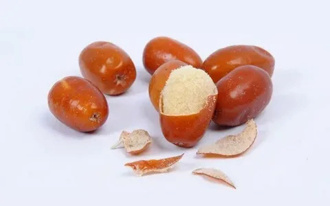 تصویر 4 از قیمت خرید میوه سنجد تازه + فروش ویژه