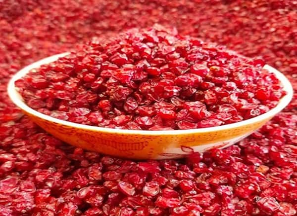 تصویر 3 از معرفی زرشک ممتاز فامیلا + بهترین قیمت خرید