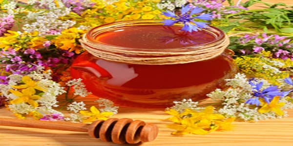 خرید عسل سدر اصلي  + قیمت عالی با کیفیت