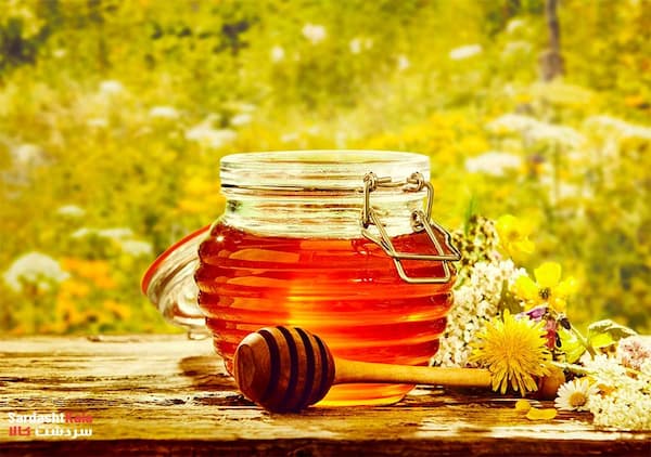 تصویر 2 از قیمت و خرید عسل ممتاز کوهدشت + فروش ارزان