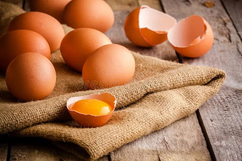 تصویر 1 از خرید و قیمت تخم مرغ شانه ۳۰ عددی + فروش عمده