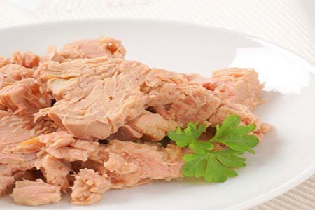 تصویر 1 از قیمت کنسرو تن ماهی گوزل + خرید باور نکردنی