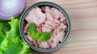 قیمت کنسرو تن ماهی گوزل + خرید باور نکردنی