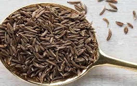تصویر 5 از خرید و قیمت زیره سیاه کرمان + فروش عمده