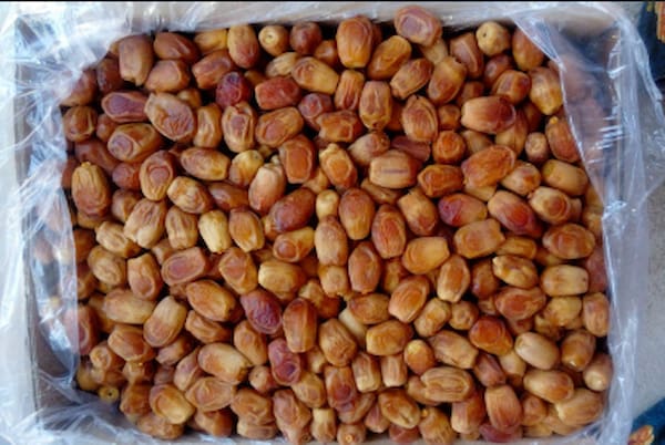 تصویر 1 از خرید و فروش خرما زاهدی خشک با شرایط فوق العاده