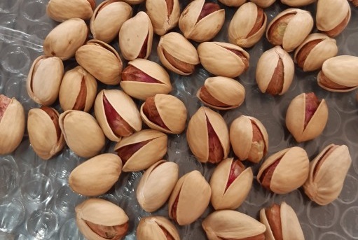 تصویر 4 از خرید و قیمت پسته ممتاز رفسنجان + فروش عمده