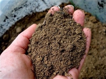 تصویر 5 از قیمت خرید خاک روی زنجان + فروش ویژه
