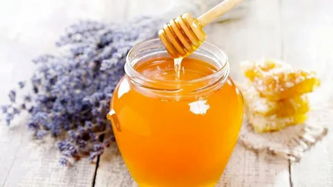 خرید و قیمت عسل آویشن کوهی + فروش صادراتی