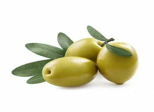 تصویر 2 از قیمت خرید زیتون ویژه طارم امساله عمده به صرفه و ارزان