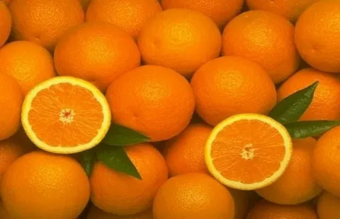 تصویر 1 از قیمت خرید پرتقال تامسون ناول با فروش عمده