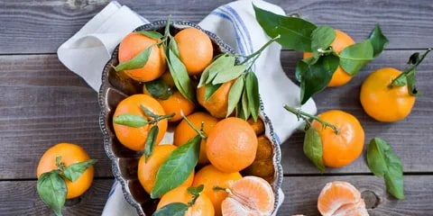 تصویر 1 از نارنگی یافا با تازگی چشمگیر و کیفیتی برتر