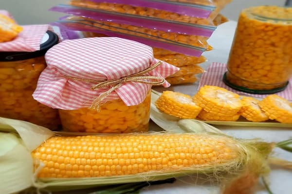 تصویر 3 از قیمت کنسرو ذرت شیرین 400 گرمی خوشمزه + خرید عمده