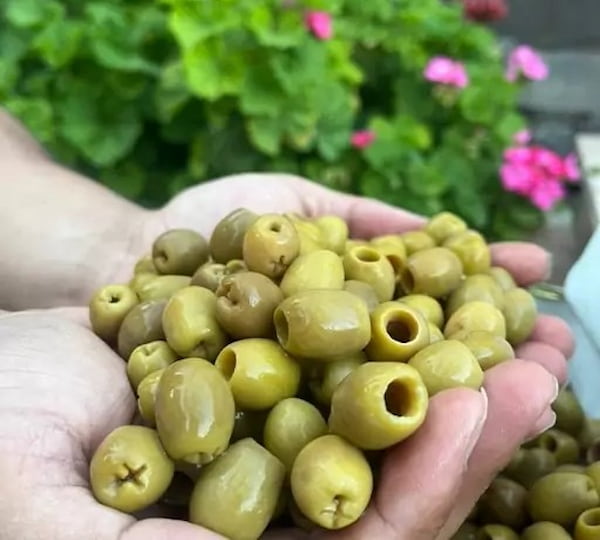 تصویر 2 از خرید و قیمت زیتون بی هسته ممتاز + فروش صادراتی