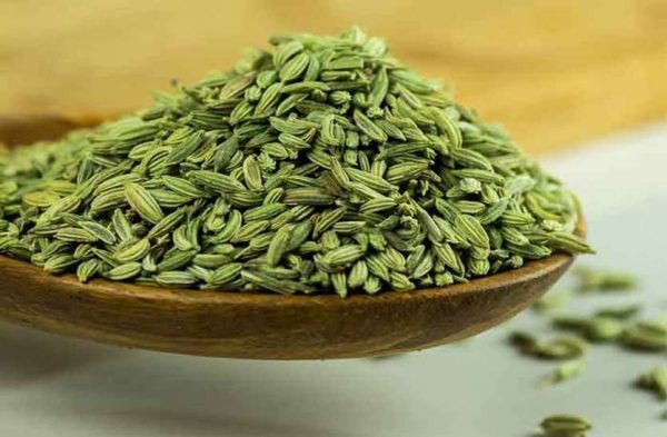 خرید زیره سبز شیرین + قیمت فروش استثنایی