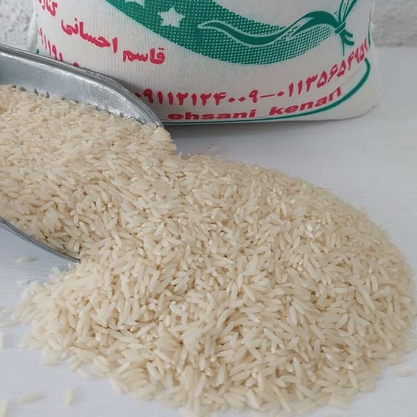 تصویر 5 از معرفی طارم محلی فریدونکنار + بهترین قیمت خرید