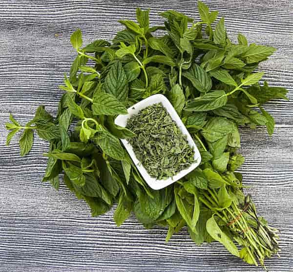 تصویر 5 از خرید و قیمت گیاه نعنا فلفلی خشک + فروش عمده