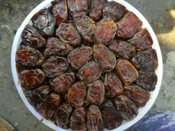 تصویر 3 از خرید خرما کبکاب سطلی + بهترین قیمت