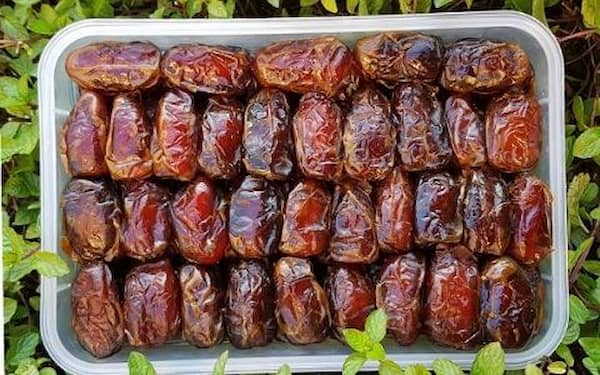 تصویر 4 از خرید خرما کبکاب سطلی + بهترین قیمت