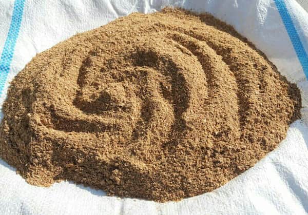 خرید پودر جوجه خوراک دام + قیمت فروش استثنایی