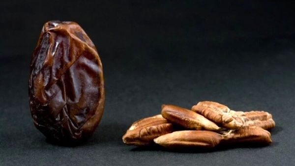تصویر 5 از خرید هسته خرما عمده + قیمت فروش استثنایی