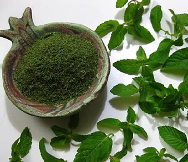 تصویر 5 از خرید و قیمت گیاه نعنا خشک + فروش عمده