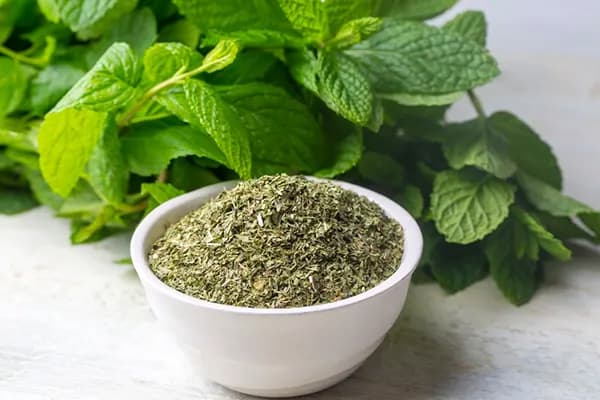 خرید و قیمت گیاه نعنا خشک + فروش عمده