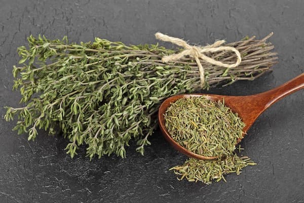 تصویر 4 از قیمت گیاه آویشن خشک شده + خرید باور نکردنی