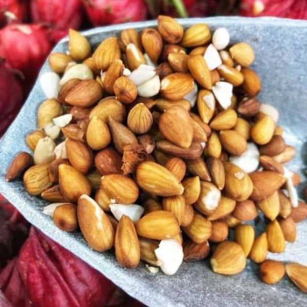 تصویر 5 از قیمت روز مغز بادام کوهی