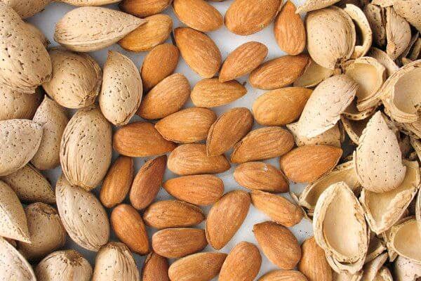 تصویر 2 از خرید و قیمت انواع مغز بادام شیرین