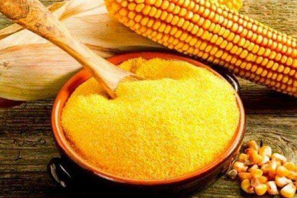 تصویر 3 از فروش گلوتن ذرت پودری + قیمت خرید به صرفه