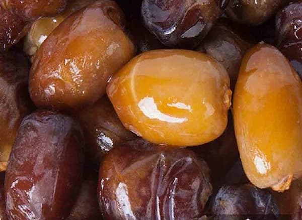 تصویر 1 از خرید قیمت خرما برحی تازه + قیمت فروش استثنایی