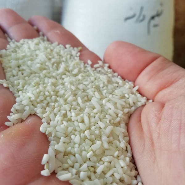تصویر 5 از قیمت خرید برنج نیم دانه هاشمی عمده به صرفه و ارزان