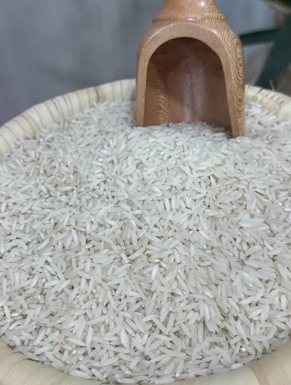 تصویر 2 از راهنمای خرید برنج فجر سوزنی + قیمت عالی