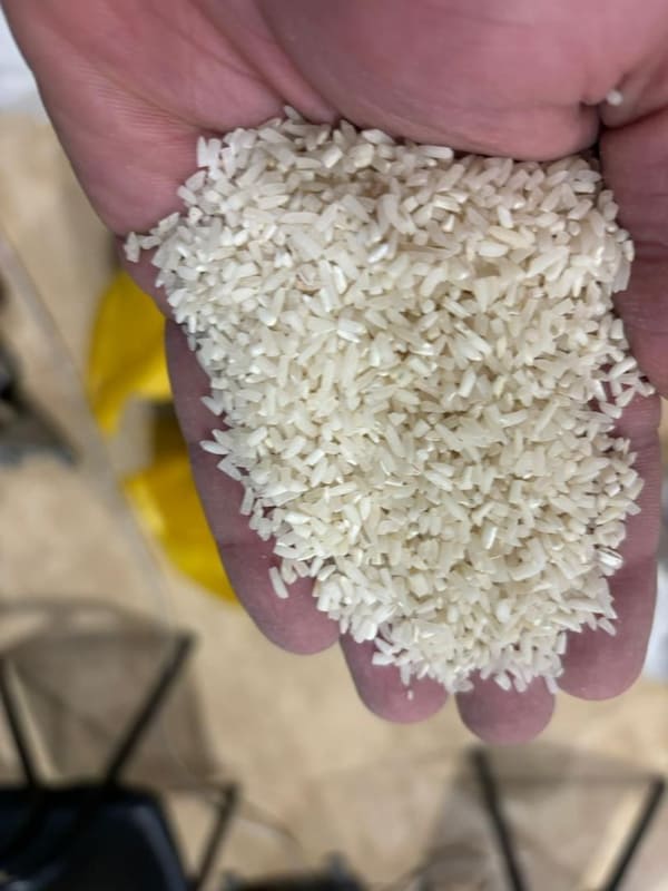 تصویر 1 از راهنمای خرید برنج فجر سوزنی + قیمت عالی