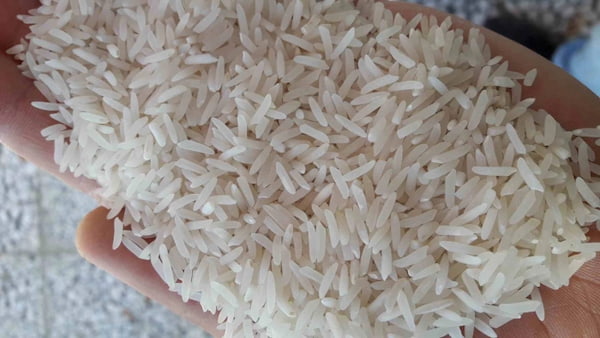 تصویر 4 از راهنمای خرید برنج فجر سوزنی + قیمت عالی