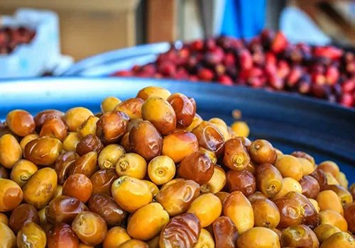 تصویر 4 از قیمت خرید خرما رطب زرد با فروش عمده