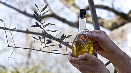 تصویر 1 از قیمت روغن زیتون محلی + خرید باور نکردنی