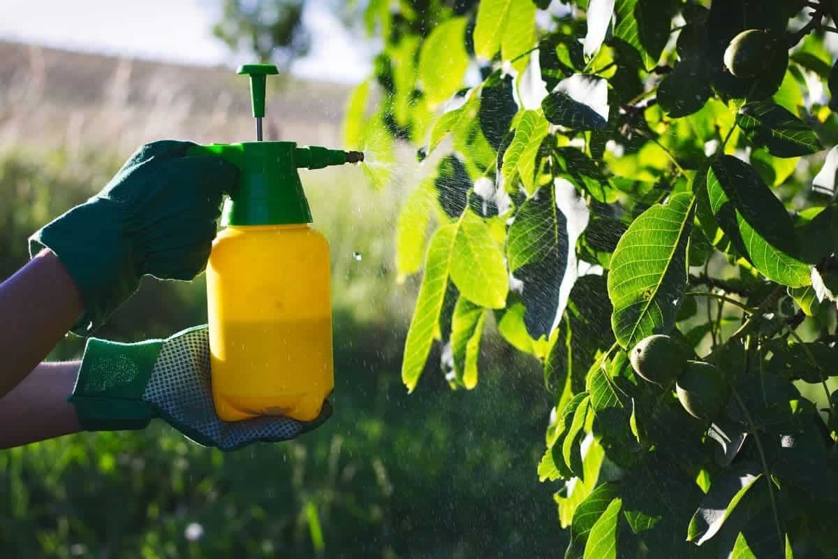 تصویر 2 از خرید کود مایع جنگل + قیمت فروش استثنایی