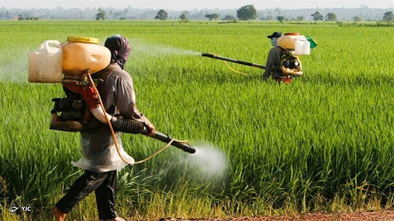 تصویر 4 از خرید کود مایع جنگل + قیمت فروش استثنایی