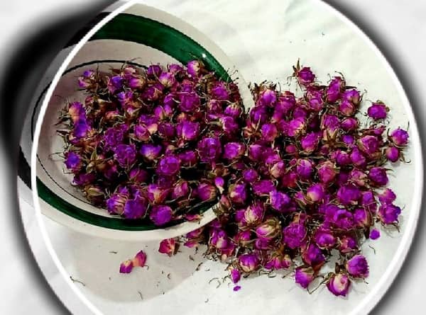 تصویر 5 از خرید و فروش غنچه گل محمدی با شرایط فوق العاده