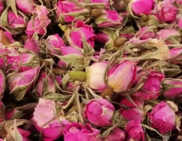 تصویر 2 از خرید و قیمت غنچه گل محمدی صادراتی + فروش صادراتی