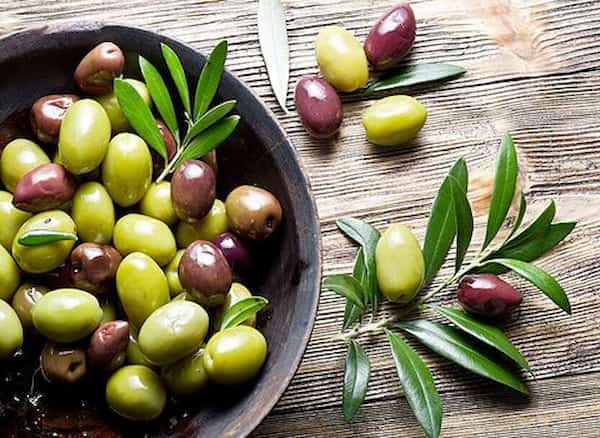 تصویر 2 از فروش زیتون تازه چیده شده + قیمت خرید به صرفه