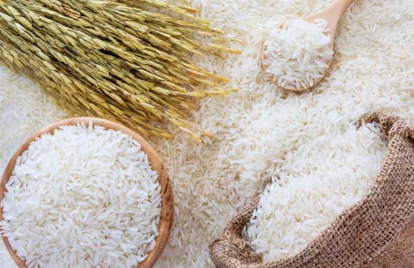 تصویر 3 از فروش برنج طارم هاشمی درجه یک + قیمت خرید به صرفه