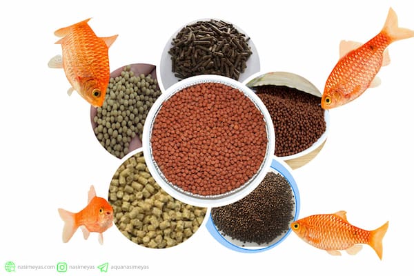تصویر 2 از راهنمای خرید غذای ماهی گوپی + قیمت عالی