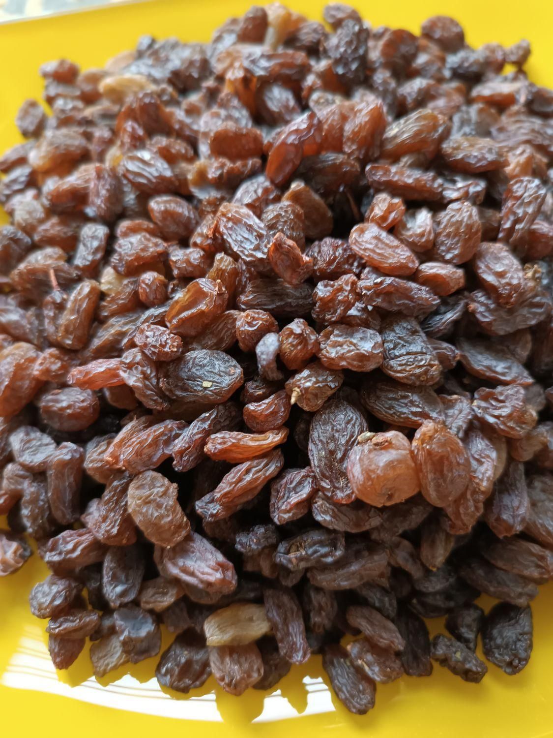تصویر 4 از قیمت کشمش افتابی شیراز با کیفیت ارزان + خرید عمده