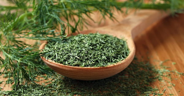 تصویر 3 از خرید و قیمت سبزی ترخون خشک + فروش عمده