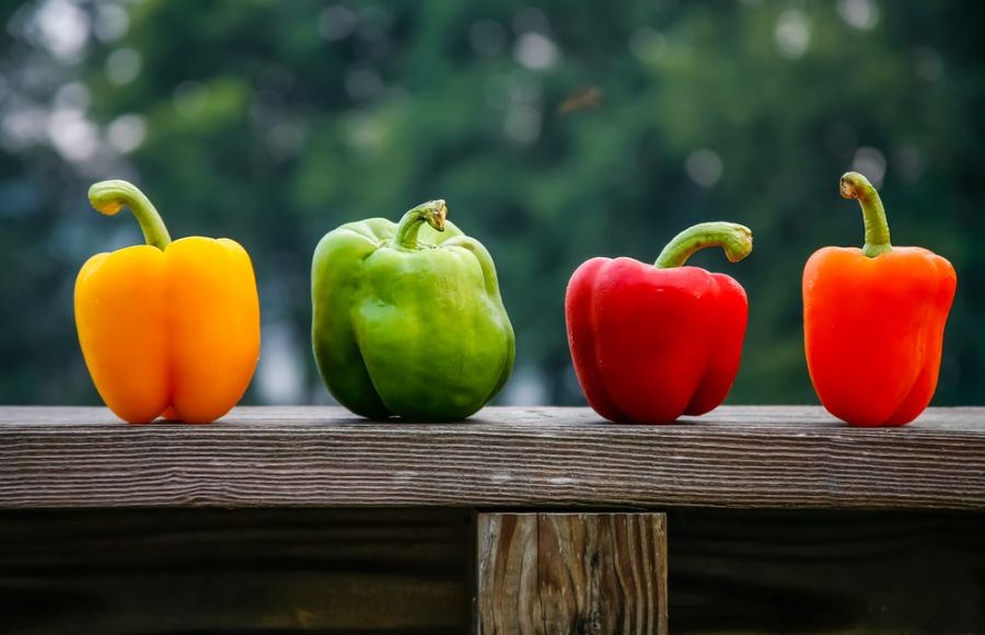 تصویر 2 از قیمت فلفل دلمه ای مینیاتوری + خرید باور نکردنی