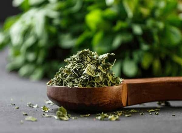 تصویر 4 از خرید پودر نعنا خشک + قیمت فروش استثنایی